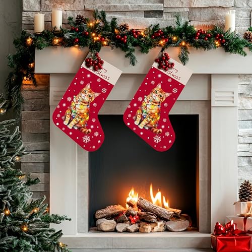 Christmas Stocking with Cat Santa Variation - Orange Tabby Cat Gift for Holiday Decor