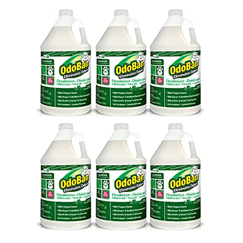 OdoBan Professional Disinfectant & Odor Eliminator Concentrate 6-Pack Eucalyptus 128 Fl Oz