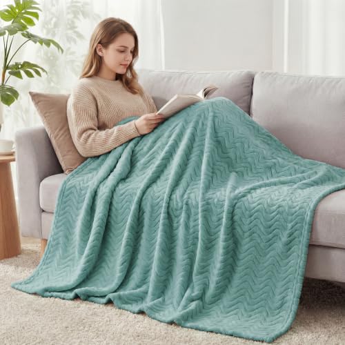 Exclusivo Mezcla Celadon Large Fleece Throw Blanket for Couch & Sofa 50x70 in