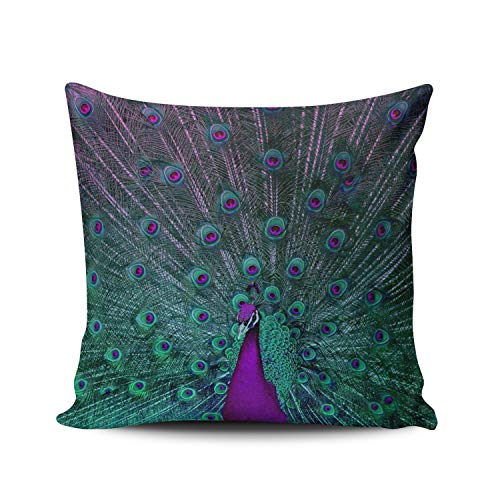 18x18 Inches Purple and Teal Peacock Pillow Cover - Double-Sided Printed Cushion Case, Pack of 1