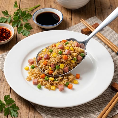 Ezymivs Stainless Steel Serving Spoon 9.5 Inch Heavy-Duty Metal Spoon