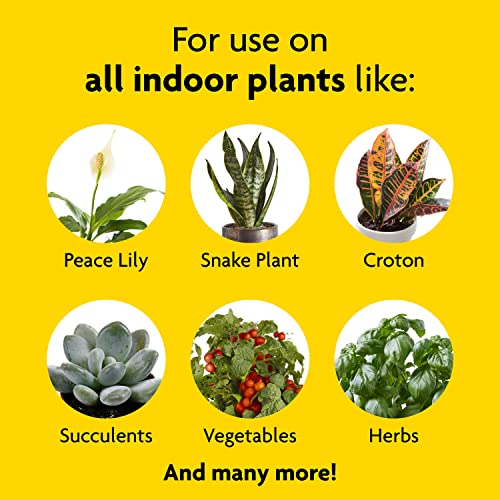 Miracle-Gro Indoor Plant Food Liquid Fertilizer 8oz - 1 Pack for Houseplants
