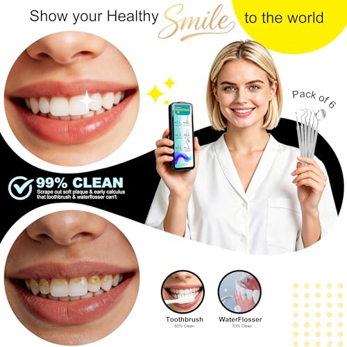 CATACC PRO 6-Piece Stainless Steel Dental Pick & Tartar Remover Kit