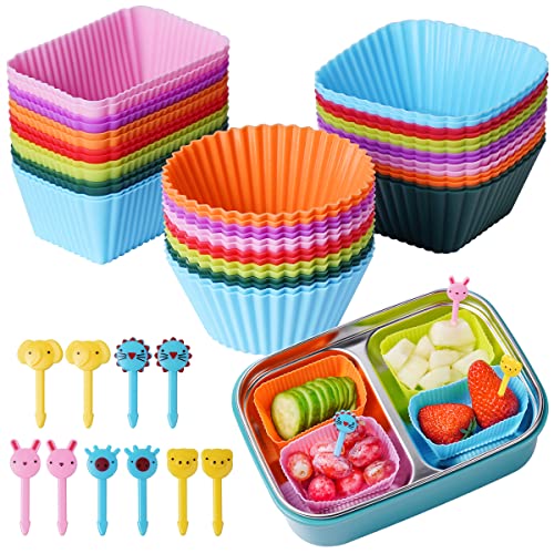 Doiaz Silicone Bento Box Set with Dividers & Food Picks - 52 Pack