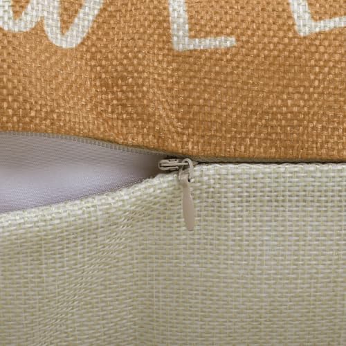 COZZSNUGE Fall Pumpkin Throw Pillow Covers, 18x18 Set of 4 (Pumpkin-3)