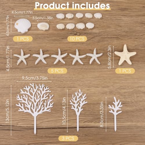 20Pcs Beach Cake Decorations - Under The Sea Seashell & Starfish Toppers