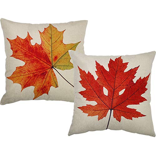 Coitak 18-Inch Fall Pillow Covers, Maple Leaves Design - 2 Pack