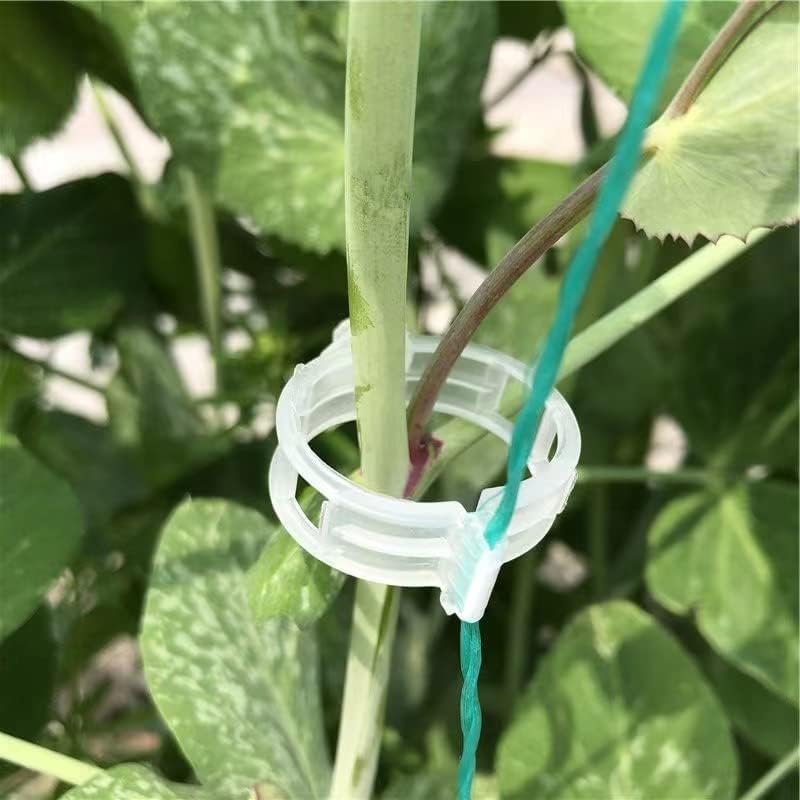Piteno® Tomato Clips - 300 Pcs Plastic Trellis Clips for Garden Support | Ideal for Healthy Plant Growth