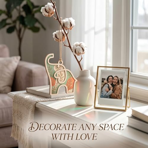 Friendship Elephant Ornament, 2-Layer Acrylic Sun Catcher Gift for Women