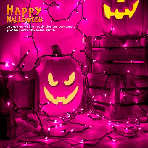 Purple Halloween Mini String Lights 2 Pack, 50 Count, 13FT Green Wire - Decorative Indoor & Outdoor Lighting