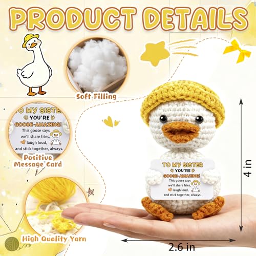 Handmade Positive Goose Crochet Doll for Sisters & Friends
