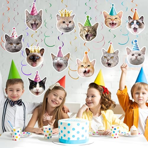 30-Piece Cat Theme Hanging Swirl Decorations for Birthday Parties