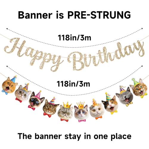Cat Themed Happy Birthday Banner and Hanging Swirls Set - Multicolor