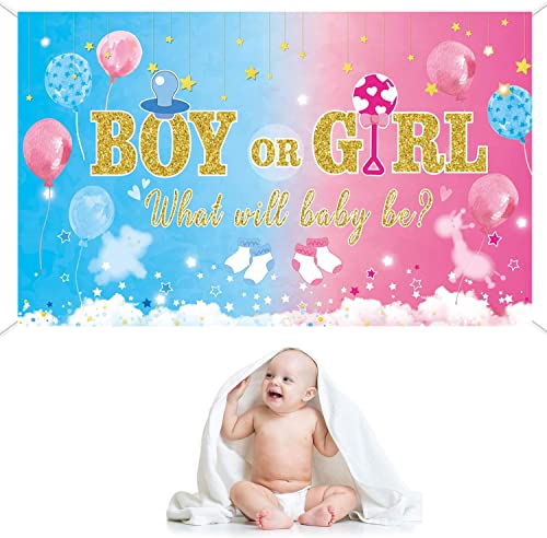 Gender Reveal Backdrop Boy or Girl Party Banner 6.1 x 3.6 Ft