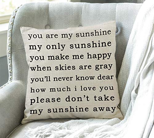 You Are My Sunshine Farmhouse Throw Pillow Cover 18x18, Sw-013