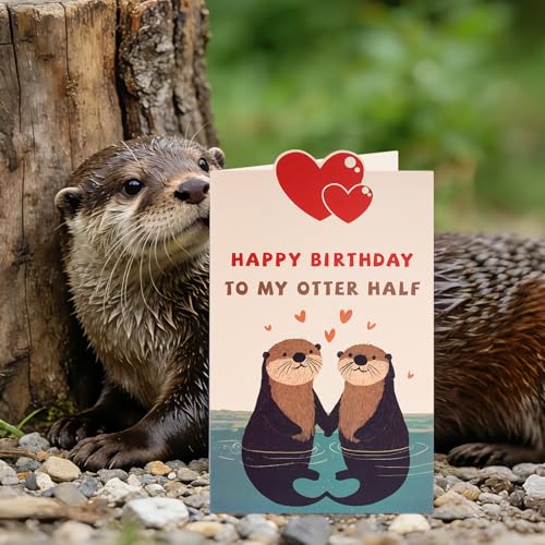 Funny Birthday Card for Husband, Wife, or Partner with Stickers