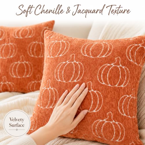 Auomily Fall Pumpkin Chenille Pillow Covers, 18x18, Set of 2, Orange