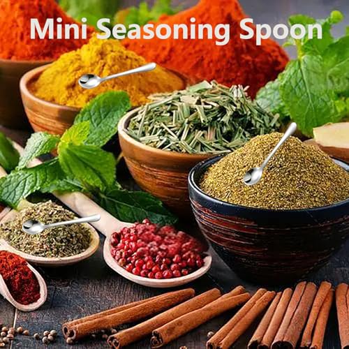 Asanta 2.87-Inch Tiny Stainless Steel Spice Spoons - 4 Piece Set