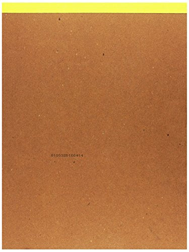 Strathmore 300 Series Bristol Pad - 9x12 Inches, 20 Sheets, Smooth Surface