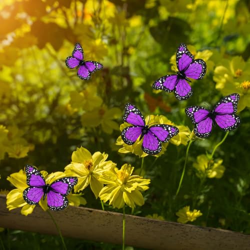 AQUEENLY Monarch Butterfly Decorations - 12 Premium Purple Wall Decor