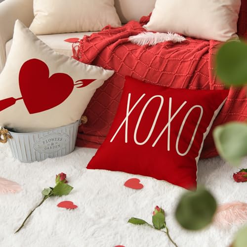 AVOIN colorlife Valentine's Day Throw Pillow Cover 17.7" - Set of 4