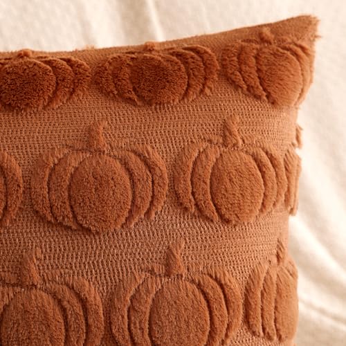 Artscope Rust Pumpkin Fall Pillow Covers 18x18, Set of 2 Faux Fur