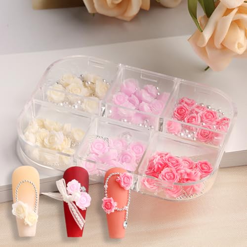 FSpronail 3D Resin Rose Camellia Flower Nail Art Charms 2 Boxes
