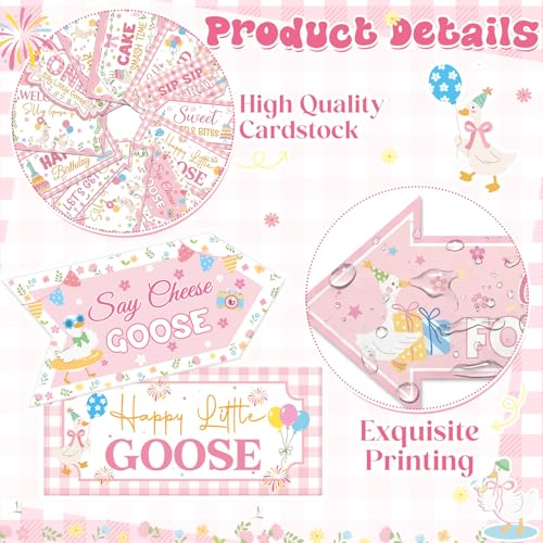 Skylety 20 Pcs One Silly Goose Birthday Party Direction Signs