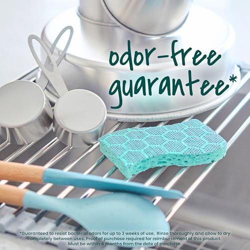 Scotch-Brite Odor Resist Heavy Duty Scrub Sponge 3 Pack | Kitchen & Household Cleaning