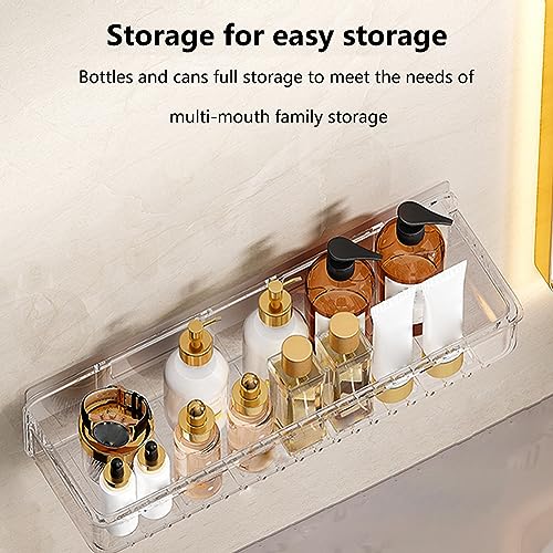Pilarmuture Transparent Acrylic Shower Caddy - Wall Mounted Floating Shelf