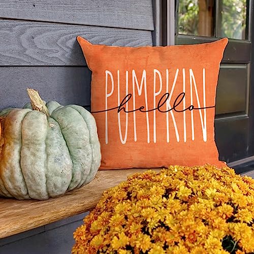 Orange Pumpkin Fall Throw Pillow Covers Set of 2 18x18 - PANDICORN Farmhouse Decor