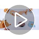 Capybara Birthday Party Decorations Set - 10-Piece Banner and Swirl Kit
