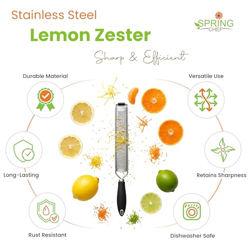 Spring Chef Black Stainless Steel Lemon Zester & Garlic Grater - Kitchen Tool