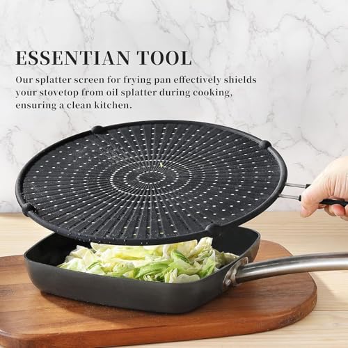 Apidgrowth Silicone Splatter Screen for Frying Pan - 13-inch Black Grease Guard