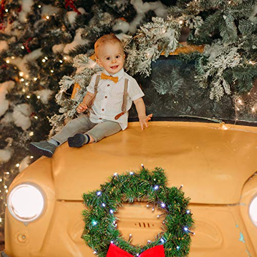 Honoson 26 Inch LED Christmas Wreath for Car Truck with 5 Nylon Ties