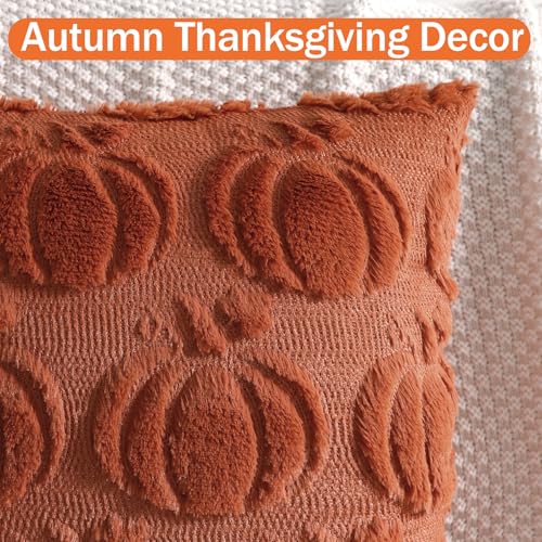 Coddsmz Fall Pumpkin Throw Pillow Covers 18x18 Inches Set of 2 Rust Caramel Plush Halloween Decor