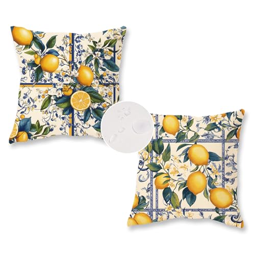 Outdoor Waterproof Pillow Covers Set of 2 18x18 Inch Boho Farmhouse Cushion Cases