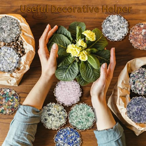 0.45 LB Polished Agate Stones for Home & Outdoor Decor