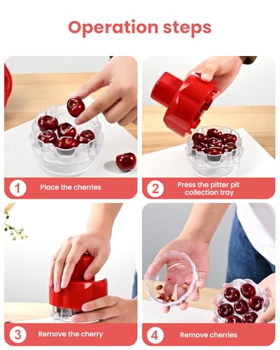 Cherry Pitter Tool with 7 Holes for Efficient Fruit Pitting