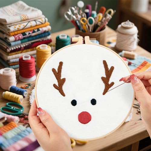 Christmas Embroidery Kits for Beginners - 2 Hoops & Video Guide