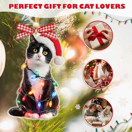 Personalized Black Cat Christmas Ornament 2025 - Funny Tree Decor