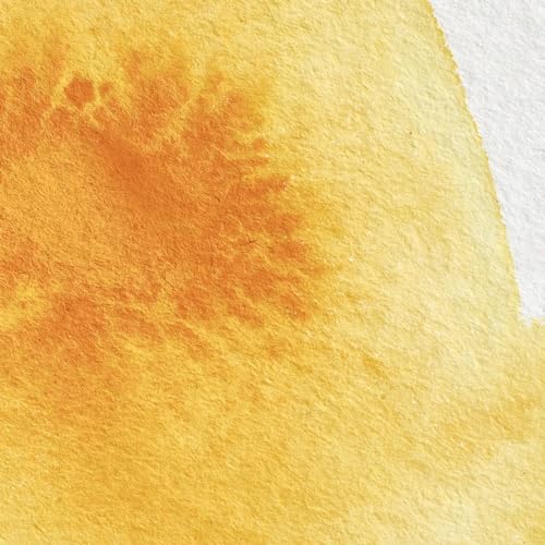 Winsor & Newton Professional Watercolor Half Pan - Cadmium Yellow Deep