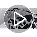 Cow Print Storage Basket - Cute Canvas Organizer Bin for Home