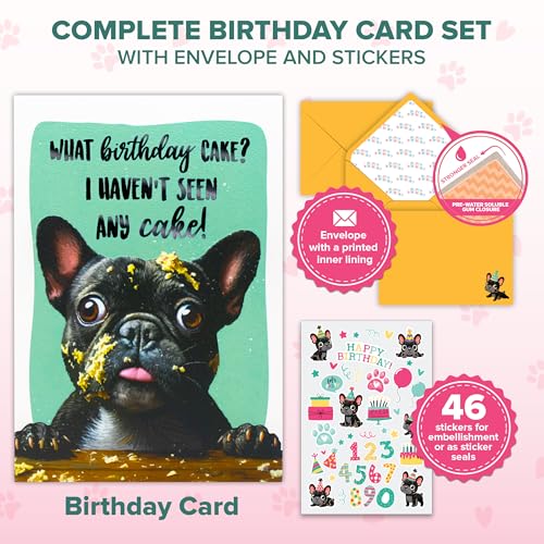 Humorous Dog Birthday Card Set - 5x7in Embossed Design with Stickers
