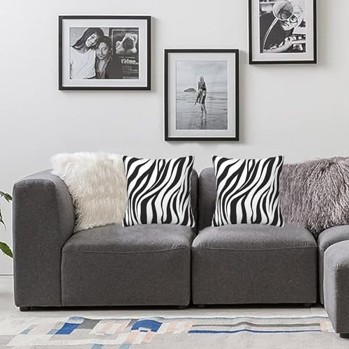 Zebra Print Pillow Covers 20x20 Inch Set of 2 - Black & White
