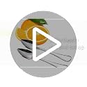 Grapefruit Spoons Set of 2 - Stainless Steel with Serrated Edge