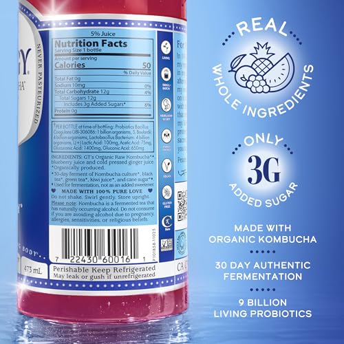 SYNERGY Gingerberry Kombucha - 16 fl oz Raw Probiotic Drink