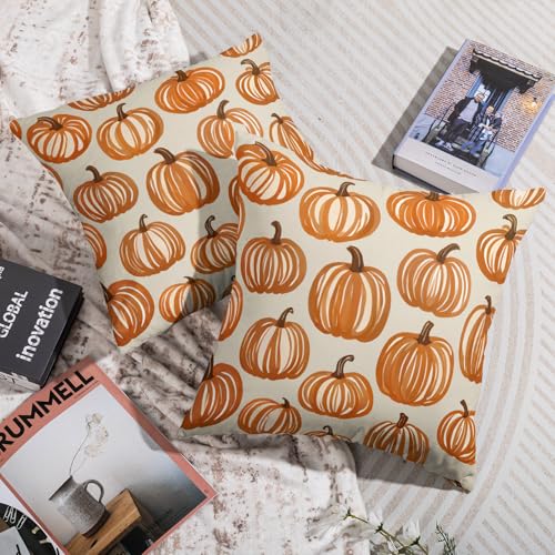 Fall Thanksgiving Pillow Covers Set of 2 - 18x18 Burnt Orange Pumpkin