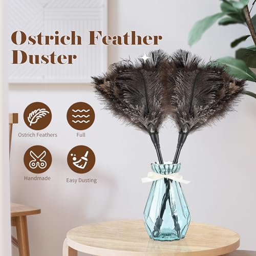 14.9 Inch Natural Ostrich Feather Duster - Lightweight Handheld for Cleaning