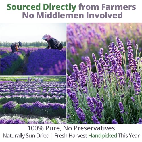 VitalForest Dried Culinary Lavender Buds - 100% Natural Food Grade, 3.53oz
